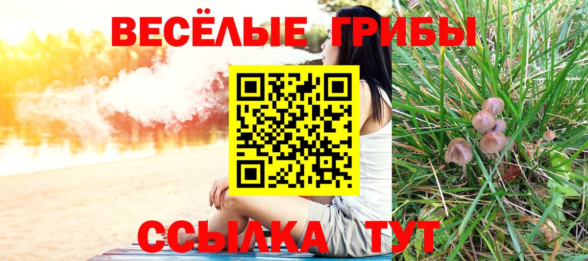 Новомосковск  закладка  Вход с VPN  Галлюциногенные грибы мицелий 